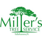 Clay Culpepper from Miller's Tree Service