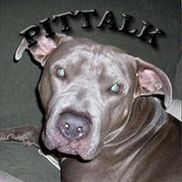 Smokinronnie Halcomb from Smokin Ronnie's BBQ