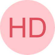 Founders IT Group Inc