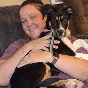 Chasing Tails Dog Training