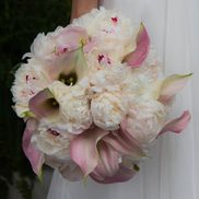 Melissa McCurdy from MMC Photography LLC