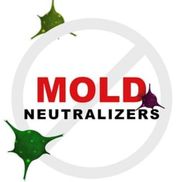 Lee Maglanoc from Mold Neutralizers