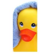 Carly Smith  from The Shower Shop