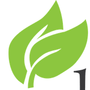 Manny Gutierrez from Greenworks Landscaping & Lawn Care