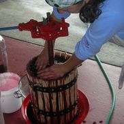 Barbara Gratta from Gratta Wines