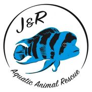 John Moyles from J&R Aquatic Animal Rescue