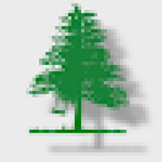 Daniel Swift from DWS landscaping, LLC