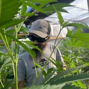 Brendan Sorrelgreen from Monsoon Cannabis Co., LLC