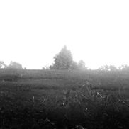 Pedro Munoz Jr from Antigua Design Services