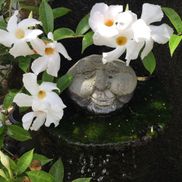 Callie P. Roberts from Callie P Roberts - Realtor