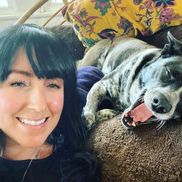 Alyssa Joy Lunghi - Insurance for Dog Owners