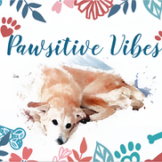 Katie Yeager from Pawsitive Vibes Pet Spa