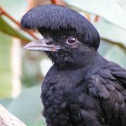 Lucy Weltner from Alignable