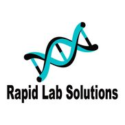 Brooke Wilson from RAPID LAB SOLUTIONS LLC