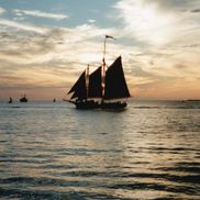 Tamara L Seward from SUNRISE YOUTH SERVICES