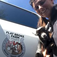 Erica Gregory from Flat broke farm animal rescue