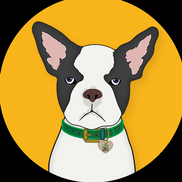 Jeni Basden-Porter from CBD Dog Health