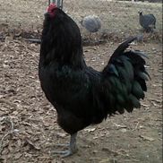 Ryan Nathan Randle from U.S. Bank-Ryan Nathan Randle-Mortgage Sales Supervisor