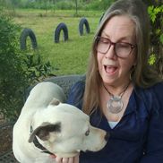 Paula Boyland from Cracked Pots Studios and Creativity Coaching, 2024 & 2025 Local Business Person of the Year