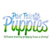 Melvin Lapp from Paw Tale Puppies LLC