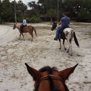 Michelle Harper from Wagon Wheel Horse Farm