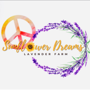 Sunflower Dreams Lavender Farm