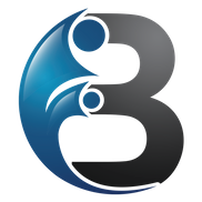 Baron Consulting & General Services LLC