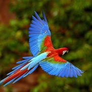 Intiana Gay from Divine Design