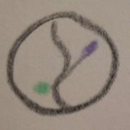 Jak Kilpatrick from Maekonect