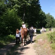 Andrea Lurie from Horses for a Change at Frog Hollow Farm