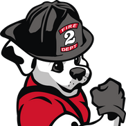 Chris Chisolm from Fire Dawgs Junk Removal Houston