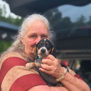 Michelle Hudson from Paws Across America Transport Services LLC