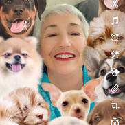 Doris Calderon from A Paws For You — Pet Services