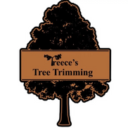 Brandon Treece from Treece's Tree Trimming