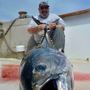 J Squires from One Cool Tuna Inc.