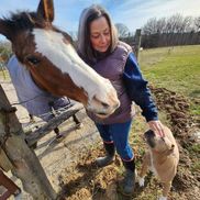 Melissa McDowell from Holistic Equine Therapies