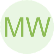 Michael Wellauer from IronGate Solutions LLC