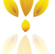 Alice Robinson from Sunflower Business Services