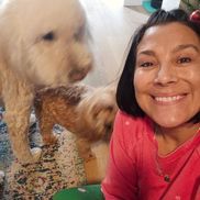 Stacey Pearo from Palm Beach Pet Nanny, LLC