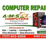 Anne Summers from A-M-S-Computers