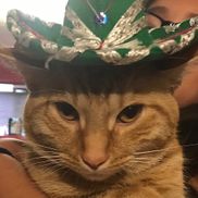 Eliana Almazan from Almazan Photography