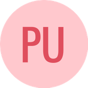 Paul Urdan from design concepts 1 llc