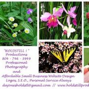 Dianne A Jones from "HOLDSTILL!" Productions™ Small Business Website Design, SEO & Stock Photos