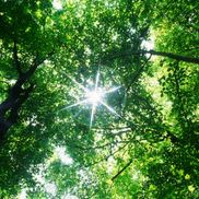 Caroline Bursalyan from Barnes & Bursal Insurance Brokers LLC