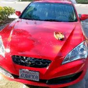 Zachary Bronstein from Bronstein & Associates Insurance Brokers