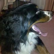 Michael L. Anderson from Anderson Engineering