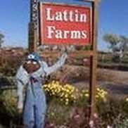 Rick Lattin from Lattin Farms
