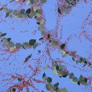 June  Yokell from June Yokell Fine Art