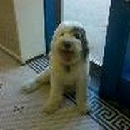 Mark Holihan from Mulligan Stew