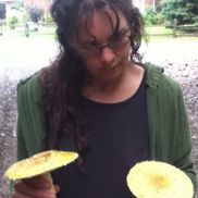 Christine Dennis RH, MSc, MNIMH - Medical Herbalist